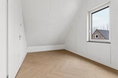 50-Moerasorchidee 13 - Lelystad.jpg